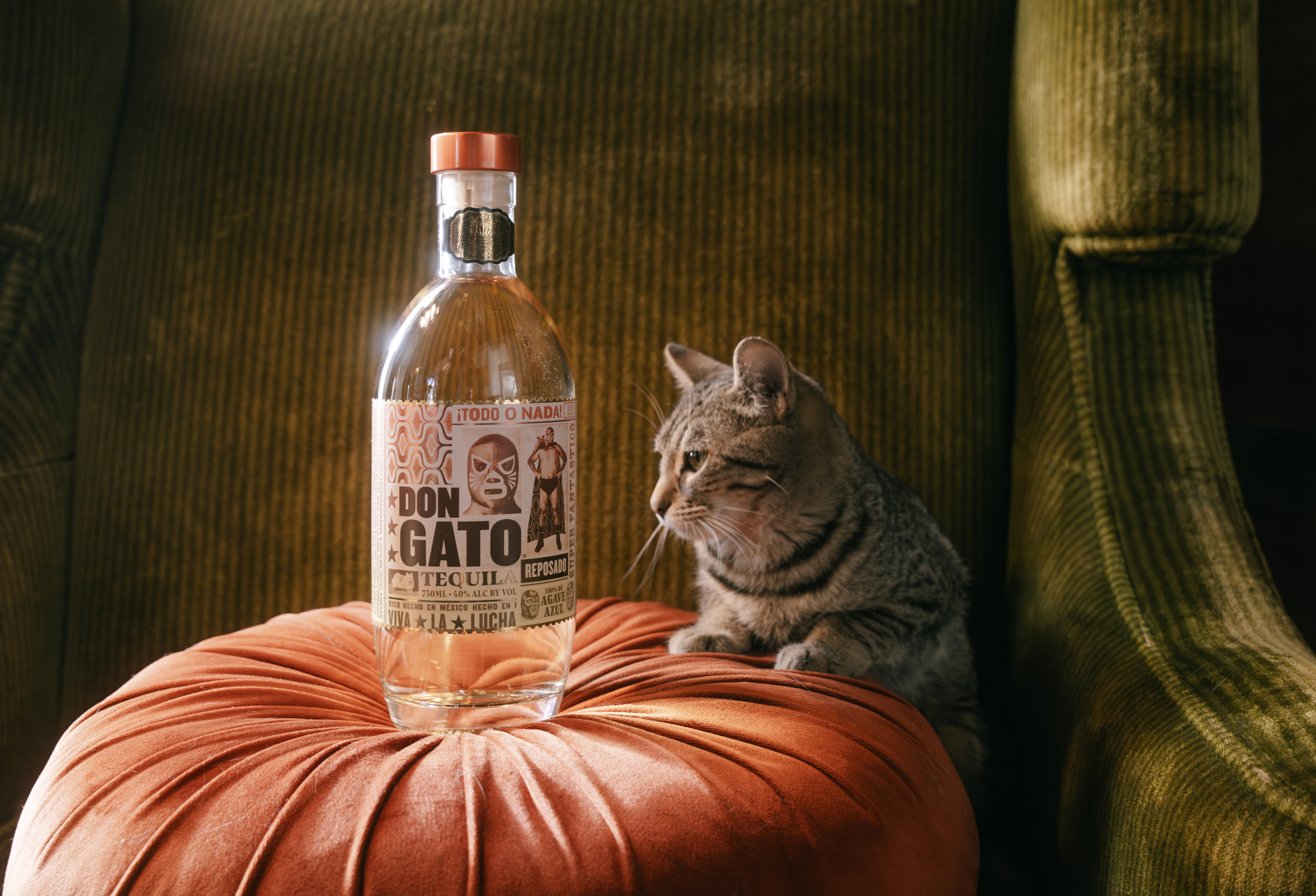 Danny McBride Launches a Tequila for Cat Lovers